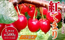 【ふるさと納税】さくらんぼ 「紅てまり Lサイズ」 バラ (約500g) ※3〜4人分 【川守田観光さくらんぼ園】 フルーツ王国 南部町 サクラン