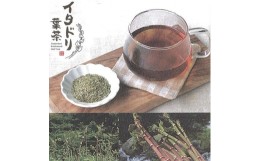 【ふるさと納税】イタドリ葉茶　約48ｇ（約4ｇ×12包） | ティーバッグ お茶 いたどり 春の山菜 山菜の里 高知 土佐