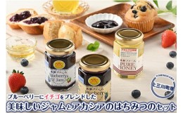 【ふるさと納税】上三川産のブルーベリーにイチゴをブレンドした美味しいジャム(2種各1本)と、アカシアのはちみつのセット  |  ハチミツ 