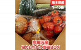 【ふるさと納税】高根沢産旬の野菜BOX