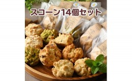 【ふるさと納税】スコーン・アソートメントNo.T14（14コ） スコーン食べ比べ 朝食 おやつ おつまみ 国産小麦粉 米粉 送料無料