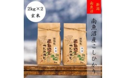 【ふるさと納税】【令和5年産】【高級】南魚沼産こしひかり2kg×2袋（玄米）