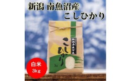 【ふるさと納税】【令和5年産】南魚沼産コシヒカリ（白米）【3kg】