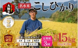 【ふるさと納税】【令和5年産】【3ヶ月定期便】越前大野産 一等米 帰山農園の棚田育ちコシヒカリ 5kg 白米 5kg × 3回 計15kg 