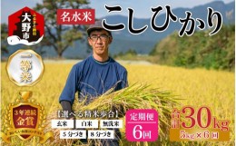 【ふるさと納税】【令和5年産】【6ヶ月定期便】越前大野産 一等米 帰山農園の棚田育ちコシヒカリ  8分づき 5kg × 6回 計30kg 