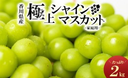 【ふるさと納税】綾川町産　シャインマスカット　たっぷり約2kg