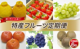 【ふるさと納税】特産 フルーツ 定期便（年6回）