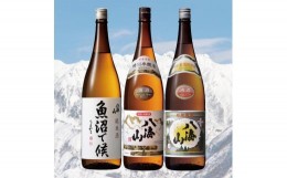 【ふるさと納税】八海山 地元酒セット(1800ml×3本)