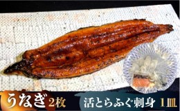 【ふるさと納税】【贅を尽くす！】活とらふぐ 刺身 （1皿）  うなぎ 蒲焼き （2枚） 贅沢セット  / ふぐ ふぐ刺し南島原市 / はなぶさ [S