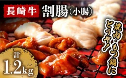 【ふるさと納税】長崎牛 割腸（小腸） 焼肉・ホルモン 鍋 用 1.2kg  / ホルモン 牛 もつ鍋 南島原市 / はなぶさ [SCN061]