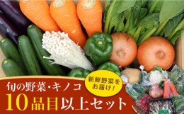 【ふるさと納税】 新鮮野菜 キノコ 10品目以上 詰め合わせ / おまかせ セット 南島原市 / 吉岡青果 [SCZ004]