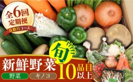 【ふるさと納税】【6回定期便 奇数月コース】野菜定期便 きのこをセット 10品目以上 「6回（奇数月）」 / 野菜 春野菜 夏野菜 秋野菜 冬