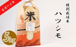 【ふるさと納税】【特別栽培米】垂井町産ハツシモ5kg