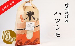 【ふるさと納税】【特別栽培米】垂井町産ハツシモ10kg