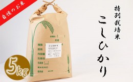 【ふるさと納税】【特別栽培米】≪令和5年産新米≫垂井町産コシヒカリ5kg