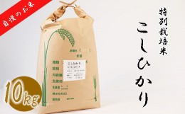 【ふるさと納税】【特別栽培米】≪令和5年産新米≫垂井町産コシヒカリ10kg