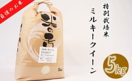 【ふるさと納税】【特別栽培米】≪令和5年産新米≫垂井町産ミルキークイーン5kg