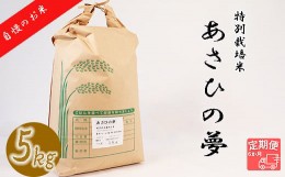 【ふるさと納税】【6か月定期便】垂井町産あさひの夢(5kg×6回）