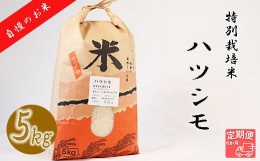 【ふるさと納税】【6か月定期便】【特別栽培米】垂井町産ハツシモ(5kg×6回）