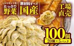 【ふるさと納税】餃子 野菜 100個 20個 5パック ジューシー 冷凍 食品 小分け 松福 国産 豚肉 おつまみ