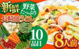 【ふるさと納税】 長崎皿うどん 8人前 野菜 10品目 果物 1品目 セット  / 皿うどん かた焼きそば 南島原市 / 贅沢宝庫 [SDZ002]