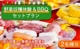 【ふるさと納税】野菜 収穫 体験 と BBQ セット プラン （2名様分）  / 南島原市 / ミナサポ [SCW016]