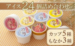 【ふるさと納税】8種アイス詰め合わせセット各3個 計24個 地元産食材使用 いちじく ゆず