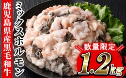 【ふるさと納税】L-002H 【数量限定】鹿児島県産黒毛和牛ミックスホルモン(計1.2kg・500g×2P+200g) 