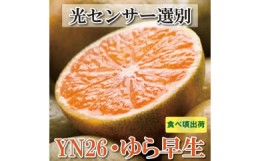 【ふるさと納税】＜9月より発送＞家庭用 極早生有田みかん5kg+150g（傷み補償分）YN26 ゆら早生 訳あり