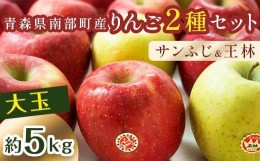 【ふるさと納税】特選 (大玉) 青森産 完熟 りんご 約5kg サンふじ 王林 2種セット 【誠果園】 青森りんご リンゴ 林檎 アップル あおもり