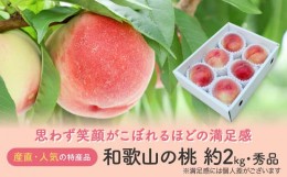 【ふるさと納税】【産直・人気の特産品】和歌山の桃　約2kg・秀選品★2024年度発送★