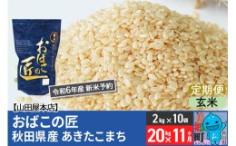 【ふるさと納税】【玄米】＜令和6年産 新米予約＞《定期便11ヶ月》おばこの匠 秋田県産あきたこまち 20kg×11回 計220kg 11か月 11ヵ月 1