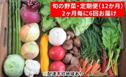 【ふるさと納税】【2ヶ月毎に6回お届け】 旬の野菜・定期便（12か月）