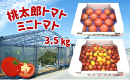 【ふるさと納税】蘇鉄園芸のトマト三昧 (ミニトマト2kg + 桃太郎トマト14個)