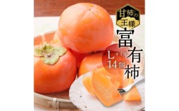 【ふるさと納税】[先行予約／令和6年産]《柿の王様》加藤果樹園の富有柿 Lサイズ 14個入り 11月上旬〜12月上旬発送予定 [mt025] 【202406