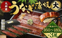 【ふるさと納税】【丑の日／配達日指定可能】九州産 うなぎ 蒲焼 大 3尾 (1尾あたり160〜189g)