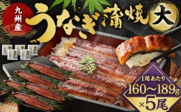 【ふるさと納税】【丑の日／配達日指定可能】九州産 うなぎ 蒲焼 大 5尾 (1尾あたり160〜189g)