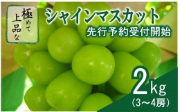 【ふるさと納税】【2024収穫分先行予約】山梨県産　極めて上品なシャインマスカット(3〜4房)約2kg