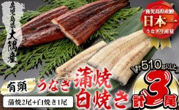 【ふるさと納税】楠田の極うなぎ 蒲焼き2尾・白焼き1尾170g以上×3尾(510g以上) b2-011