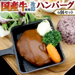 【ふるさと納税】国産牛使用 こだわり 冷凍 ハンバーグ 6個 セット 牛肉 洋食 究極 本格 ビーフシチュー デミグラス レンジ可 惣菜 簡単 