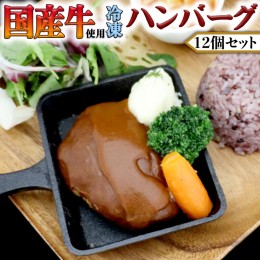 【ふるさと納税】国産牛使用 こだわり 冷凍 ハンバーグ 12個 セット 牛肉 洋食 究極 本格 ビーフシチュー デミグラス レンジ可 惣菜 簡単