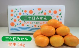 【ふるさと納税】【2024年11月下旬より順次発送】三ヶ日 みかん 早生 5kg 光センサー選果 早生みかん 三ヶ日みかん