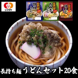 【ふるさと納税】(04306)「長持ち麺」うどんギフト3種20食