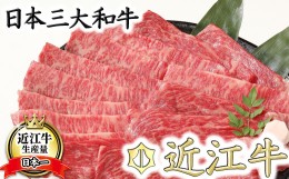 【ふるさと納税】【4等級以上】厳選　近江牛　すき焼き・しゃぶしゃぶ【500g】【BS01SM】