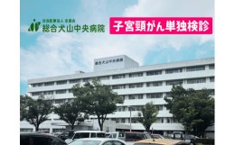 【ふるさと納税】22-5_子宮頸がん単独検診 ｜ 健康 健康診査 検診 検査 チケット 総合犬山中央病院 犬山中央病院 受診券 女性向け がん検