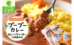 【ふるさと納税】玉城豚カレー・ポークジャーキー詰め合わせ