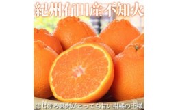 【ふるさと納税】紀州有田産不知火(しらぬひ) 約５kg【2025年2月中旬以降発送】【先行予約】【UT40】