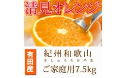 【ふるさと納税】【ご家庭用訳アリ】紀州有田産清見オレンジ　7.5kg【2025年3月下旬以降発送】【先行予約】【UT54】