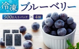 【ふるさと納税】冷凍ブルーベリー2kg