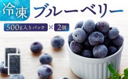 【ふるさと納税】冷凍ブルーベリー1kg